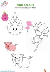 Pink Colour Colouring Kids Worksheet