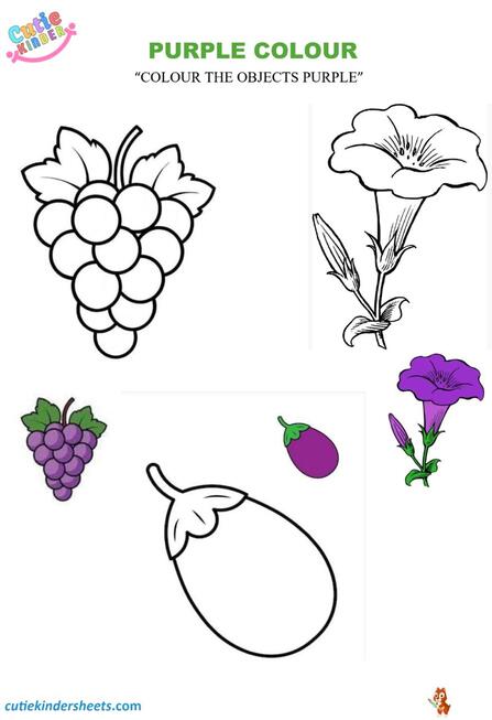 Purple Colour Colouring Kids Worksheet